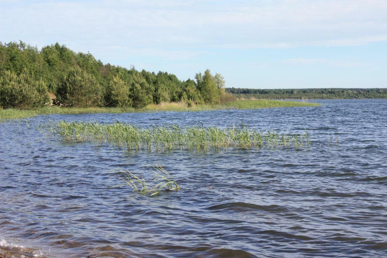 Ferienwohnungen Heideblick Grafenhainichen Zewnętrze zdjęcie